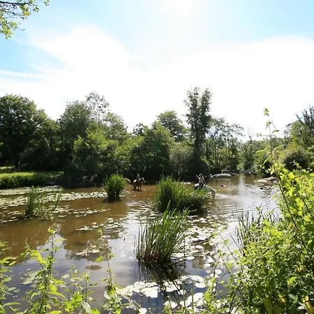 Logis De L'aubonniere Campsite Chaille-sous-les-Ormeaux